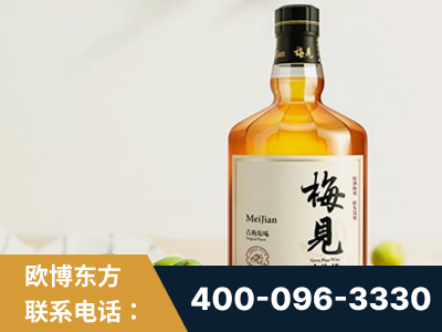 濮阳-梅见青梅酒